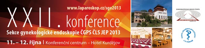 Banner konference 2013