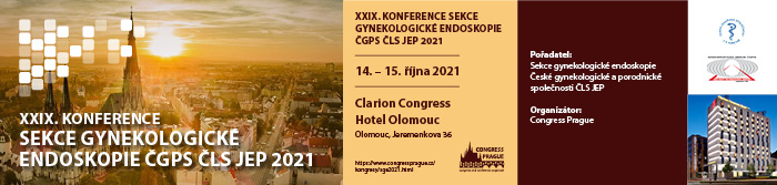 Banner konference 2021